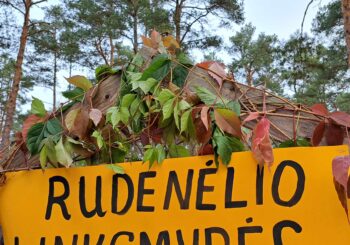 🍂🍂🍂„Rudenėlio linksmybės“🍂🍂🍂
