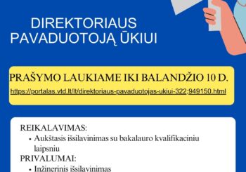 Druskininkų lopšeliui-darželiui „Žibutė“ reikalingas direktoriaus pavaduotojas ūkiui